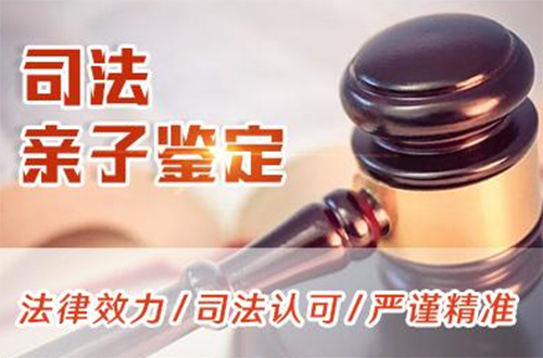 桂林司法亲子鉴定怎么做,桂林司法DNA亲子鉴定预约