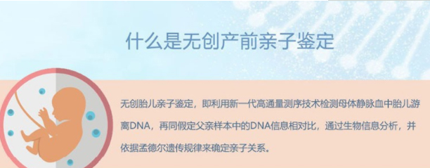 桂林怀孕如何做亲子鉴定,桂林孕期办理亲子鉴定需要的条件和材料有哪些